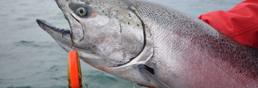Best sinking line for deep water trolling
