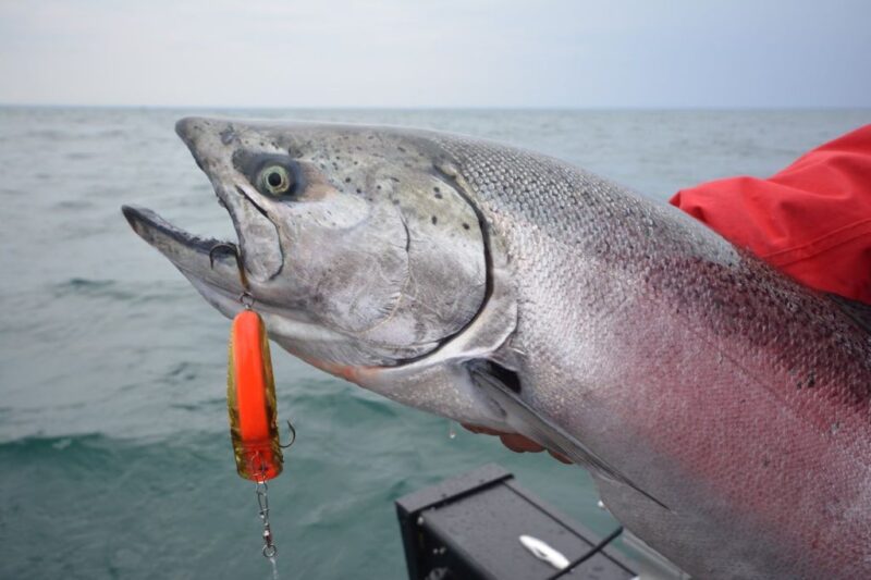 Best sinking line for deep water trolling
