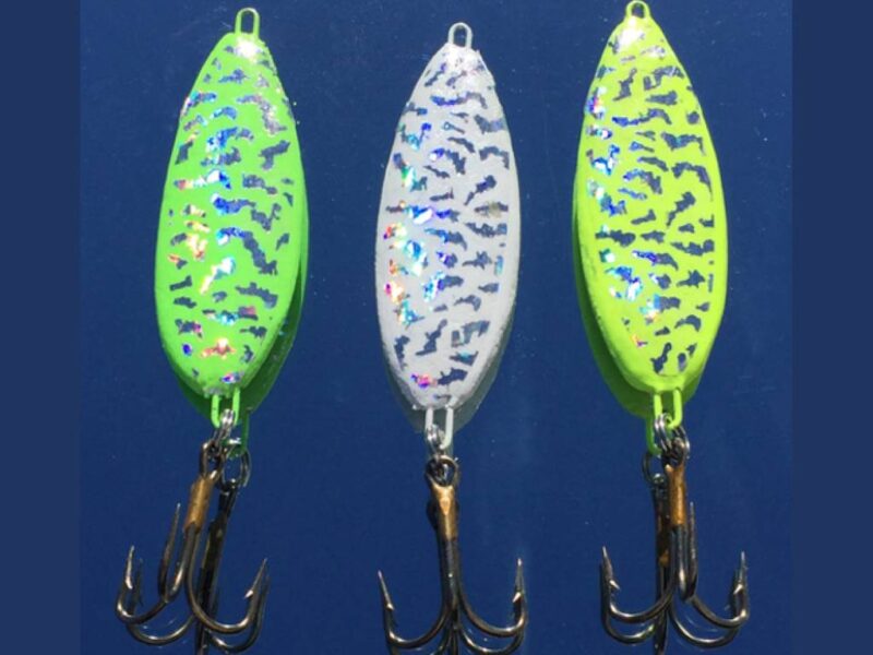 Best Bait for Lake Texoma