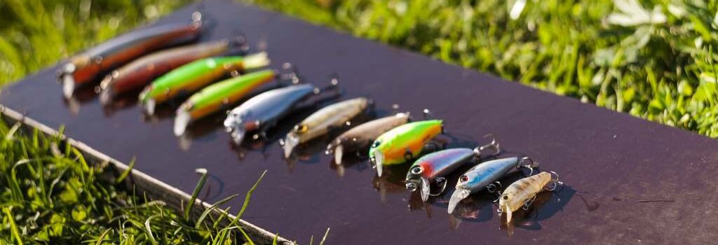 Best Baits for Bass in June