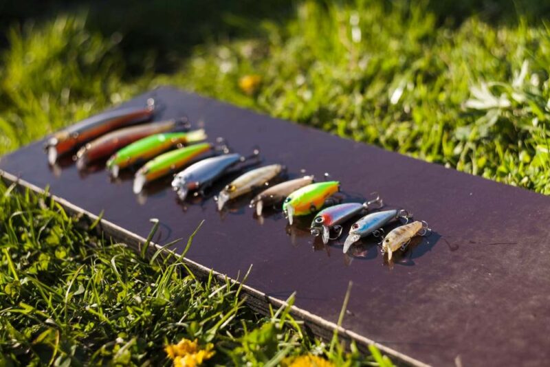 Best Baits for Bass in June