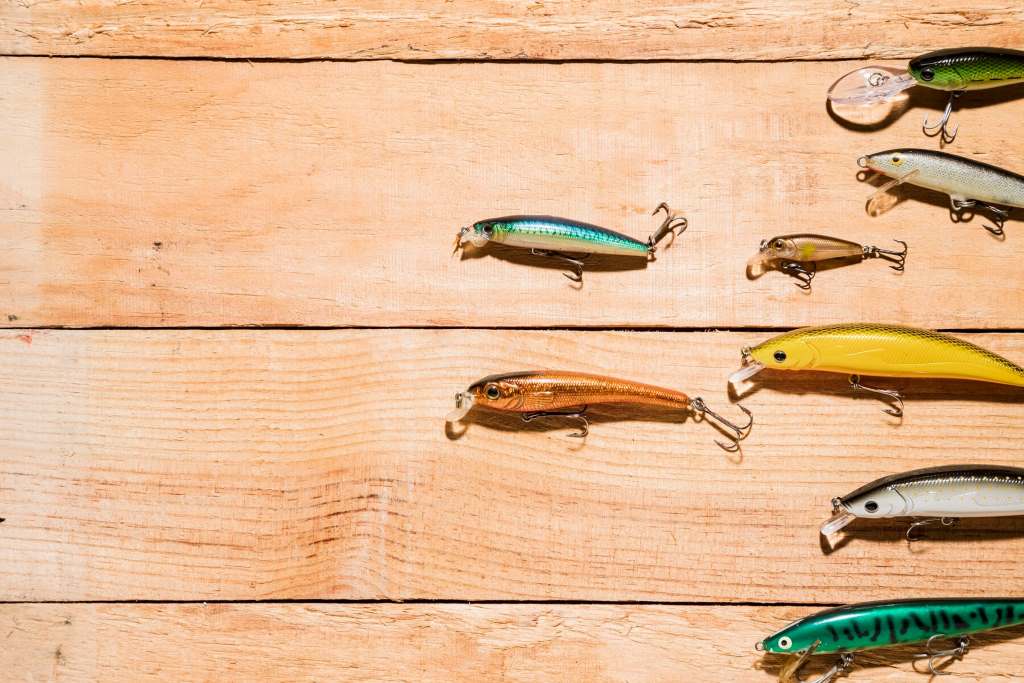 The Best Bait Colors for Muddy Water