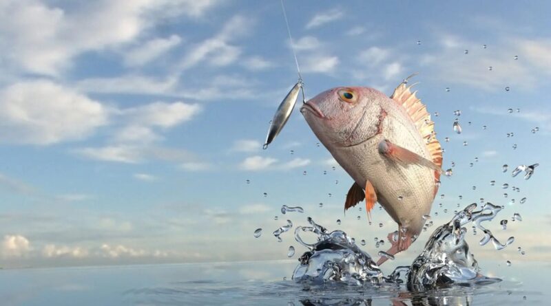 What is the best rig for saltwater fishing?