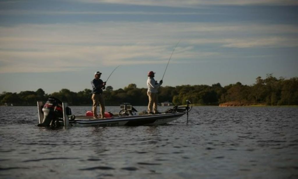 The Best Seasons for Fishing: A Seasonal Guide