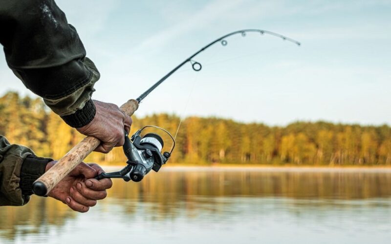 Fishing Advice for Every Season 2025