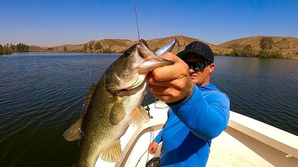 Can I catch suspended fish without a fish finder