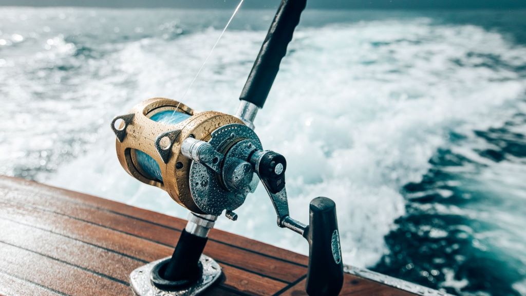 What Fishing Line Do Most Canadians Use? Insider Picks Revealed