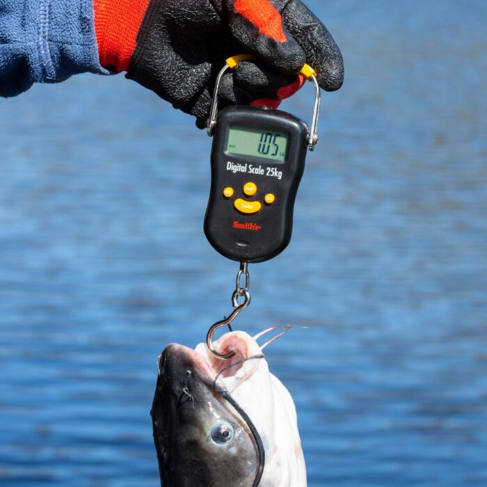 Angler weighing a fish using a portable fish scale while fishing on a boat